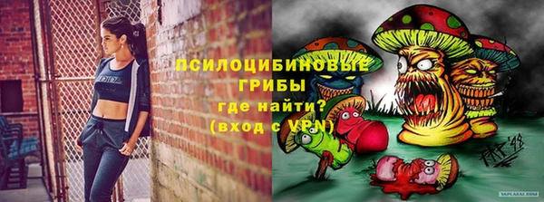 молекула духа Кинешма