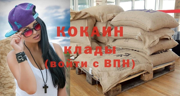 индика Карпинск