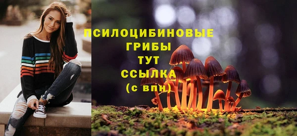 молекула духа Кинешма
