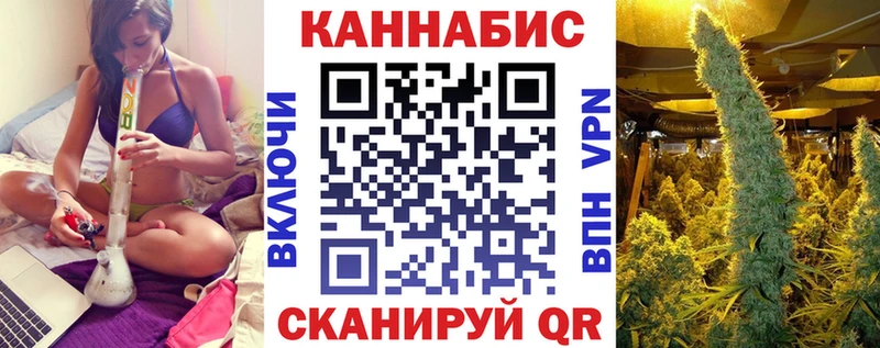 Купить закладки  Кировград  Канабис семена 
